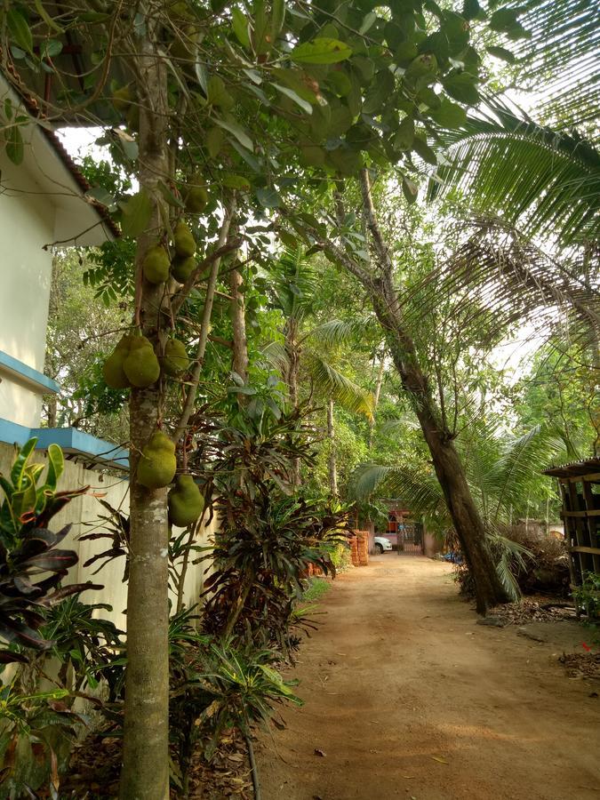 Appartamento Agape Marari Mararikulam Esterno foto